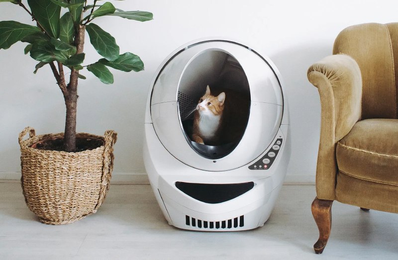 Litter-Robot 3 Self-Cleaning, Smart Litter Box