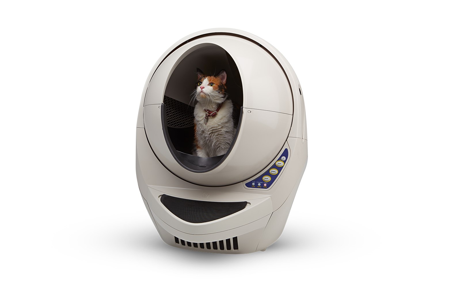 Self-Cleaning Litter Box for Cats